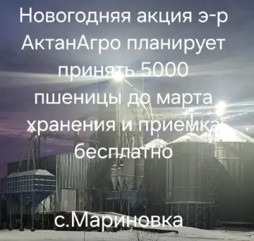 Складирование и хранение зерна