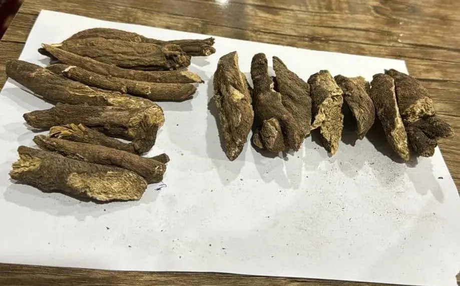 Мыльный корень для производства халвы
