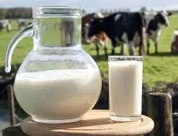 Кефир, Сметана, Творог Оптом(Молочная продукция оптом)