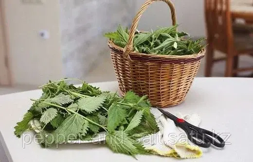 Крапива лист 100 гр ОРГАНИК В НАЛИЧИИ В АЛМАТЫ