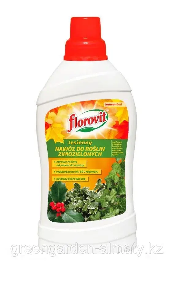 FLOROVIT Жидкое удобрение для вечнозеленых (осень), 1л
