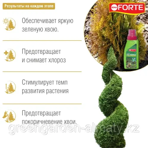 Bona Forte средство 4 в 1 от покоричневения хвои, 285мл