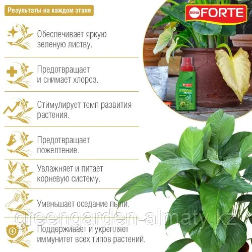 Bona Forte средство 4в1 от пожелтения листьев, 285мл