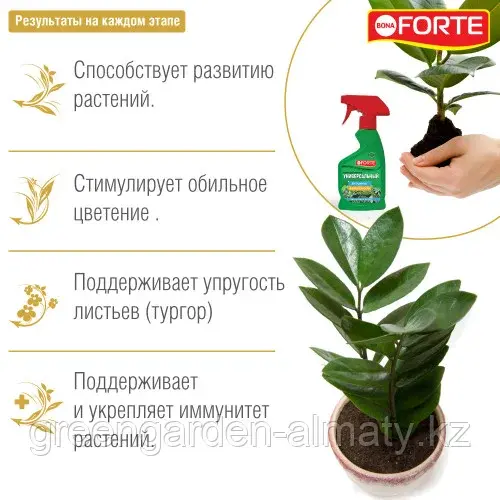 Bona Forte Тоник-спрей универсальный для листьев, 250мл