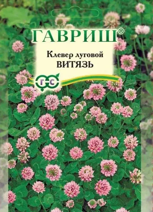 Клевер Витязь луговой 20 гр (Гавриш)
