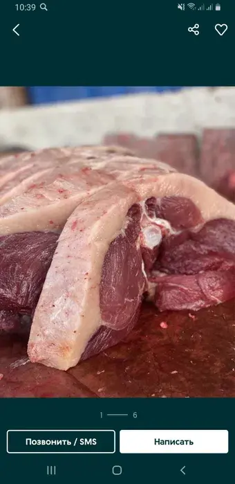 Конина Ет мясо жылкы .халал.