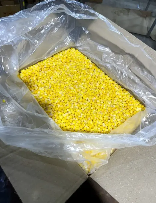 Варёная сладкая кукуруза в вакуумной упаковке — оптовые поставки по 14 областям Казахстана и в страны СНГ! 🌽