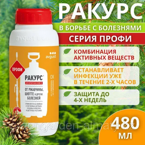 Ракурс ПРОФИ (от болезней хвойных растений), 480мл Avgust