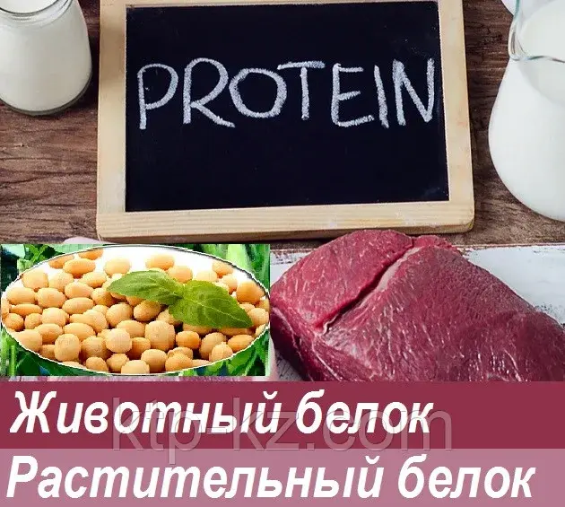 Животные жиры, текстураты