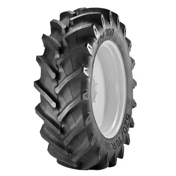 Шина Trelleborg 580/70 R42 TM 700
