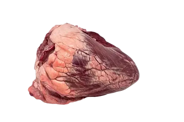 Сердце говяжье