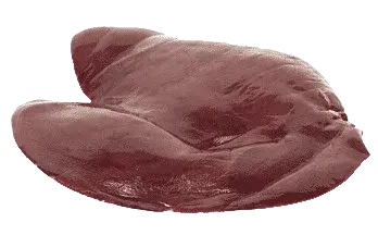 Печень говяжья