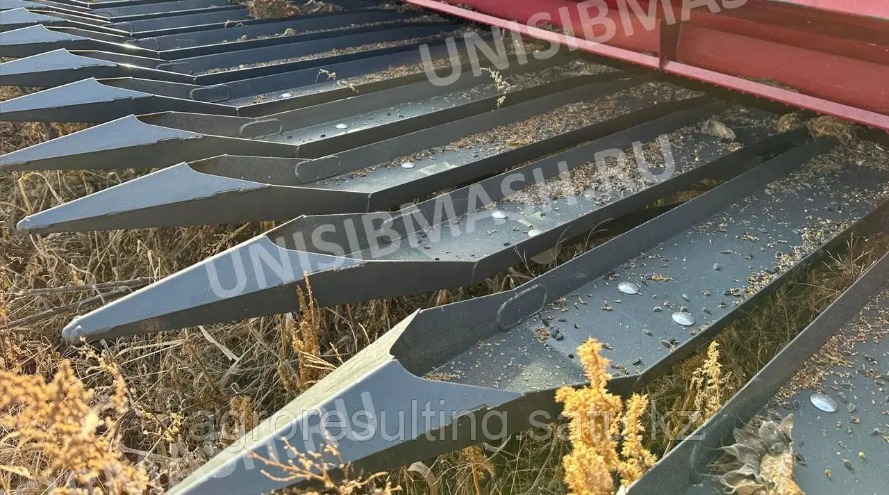 Жатка для подсолнечника безрядковая