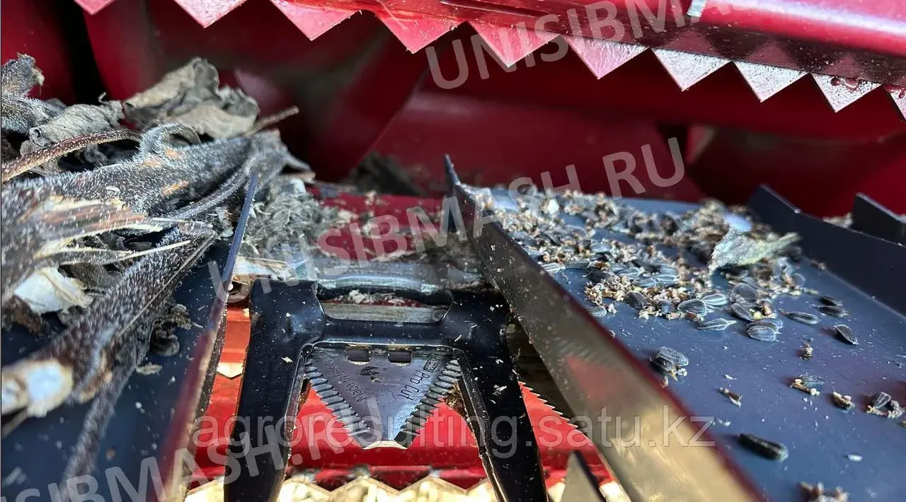 Жатка для подсолнечника безрядковая