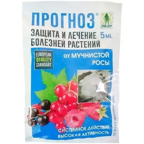 Прогноз 5 мл