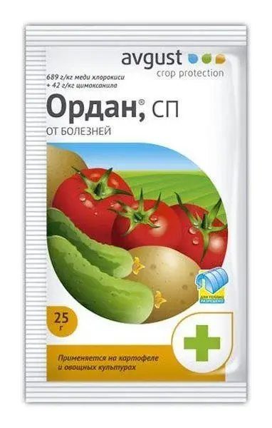 Ордан 25 гр Август