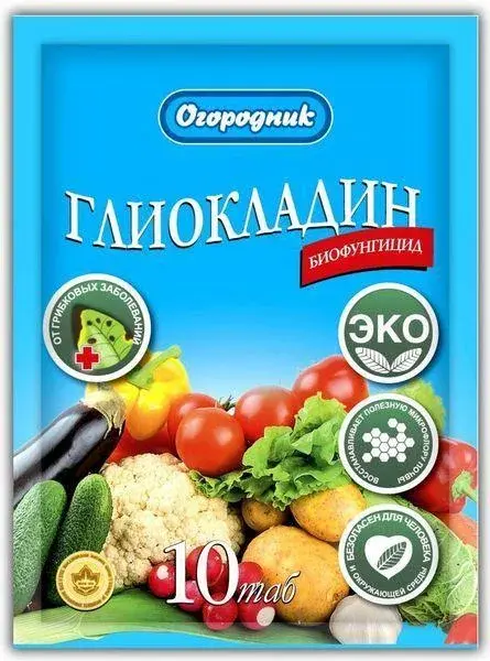 Глиокладин 10 таблеток Инта Вир