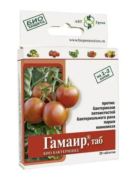 Гамаир 20 таблеток МА
