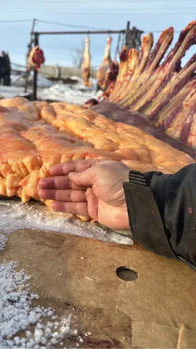 Конина высшего качества байтал мясо ет