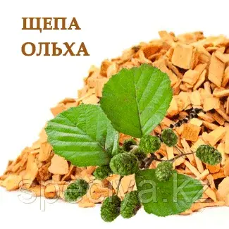 Щепа Ольховая