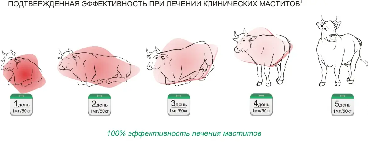 Цефтонит 100 мл