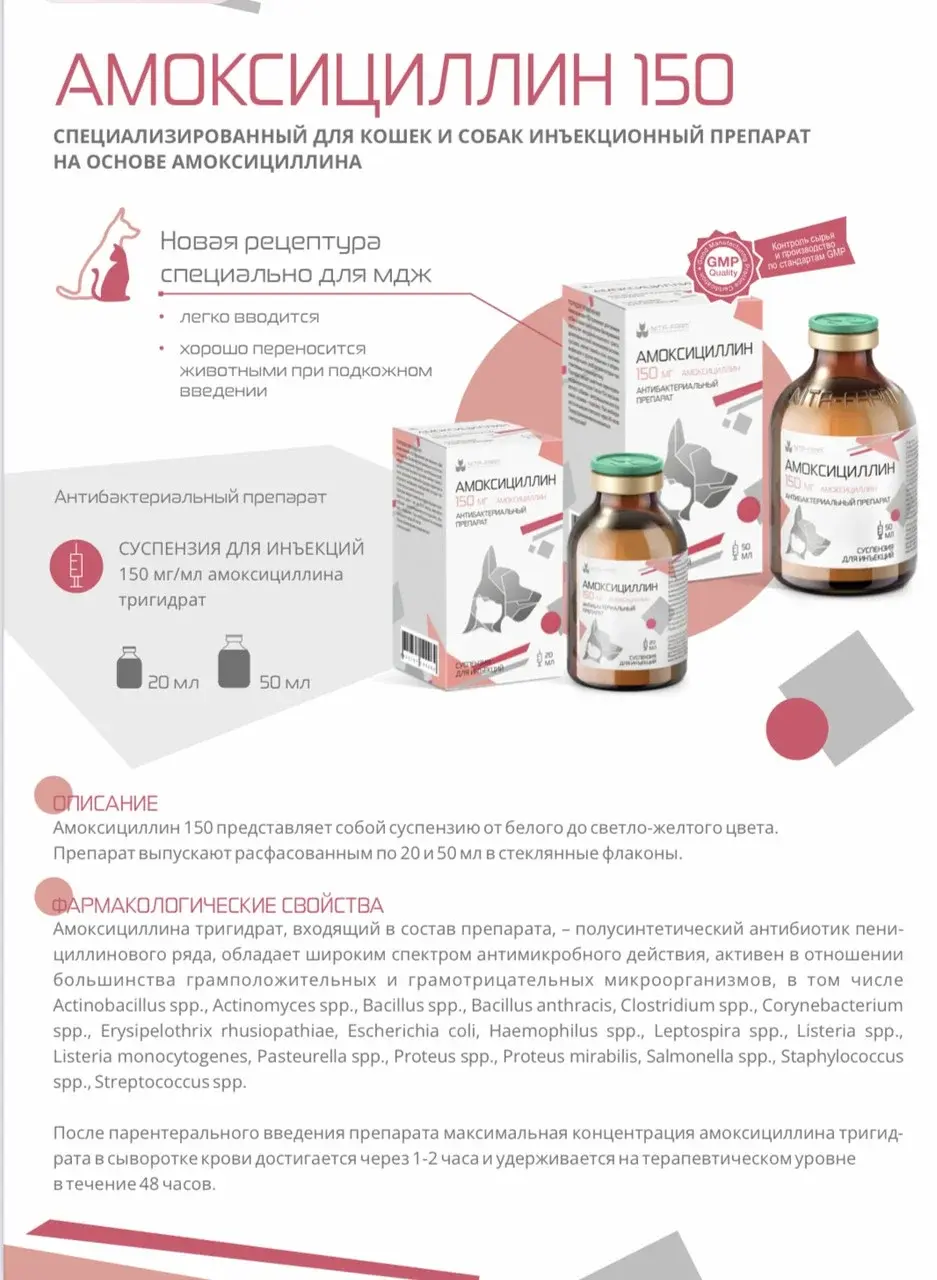Амоксициллин 150, 50 мл Pet для кошек и собак