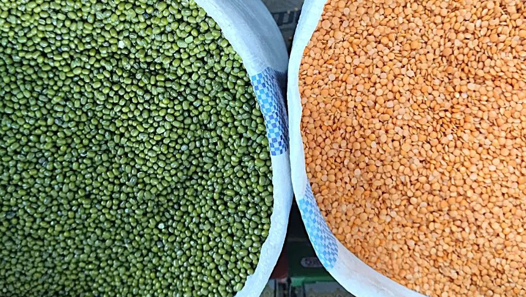 Продам чечевицу зеленую на экспорт