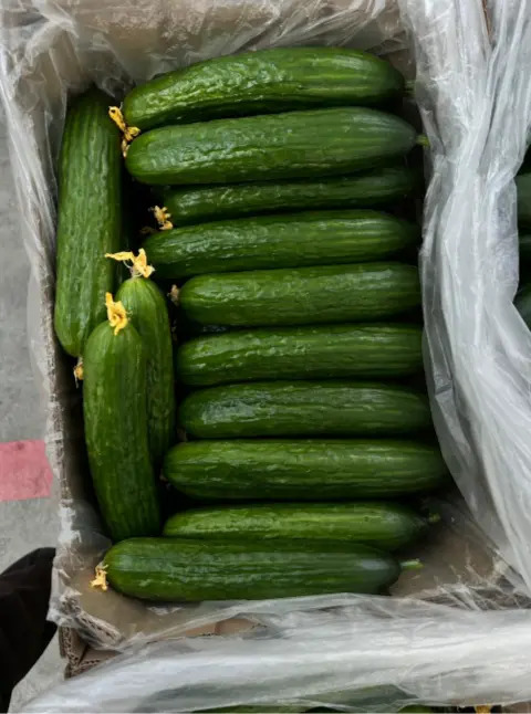 Огурцы терым бар 🥒🥒