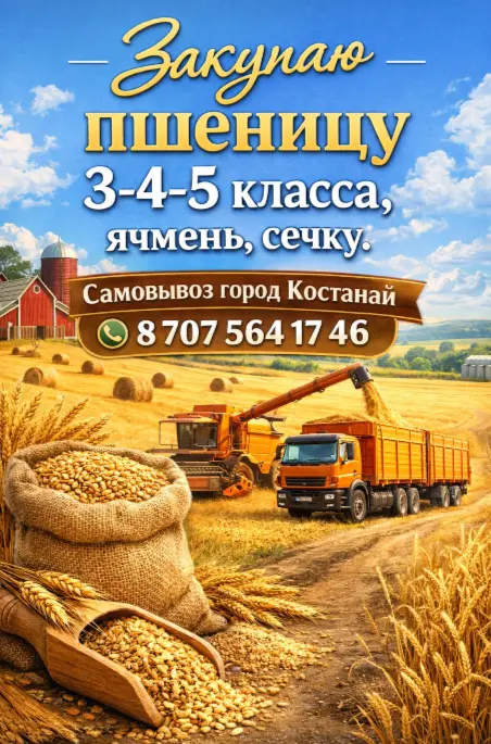 Закупаю пщеницу  1-2-3 класса