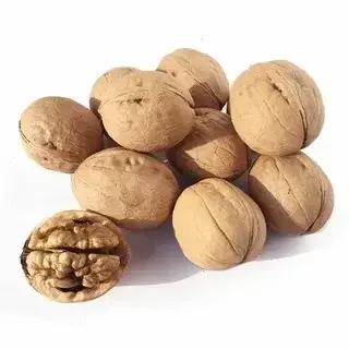 Грецкий орех не очищенный крупный Код: 9