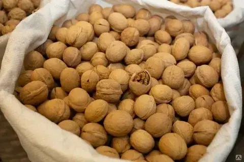 Грецкий орех не очищенный крупный Код: 9