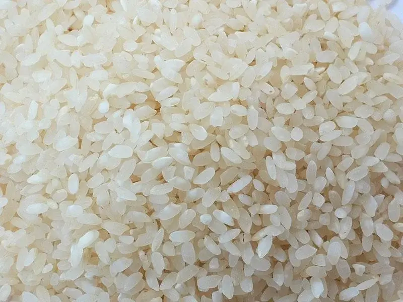 Рис Баракат