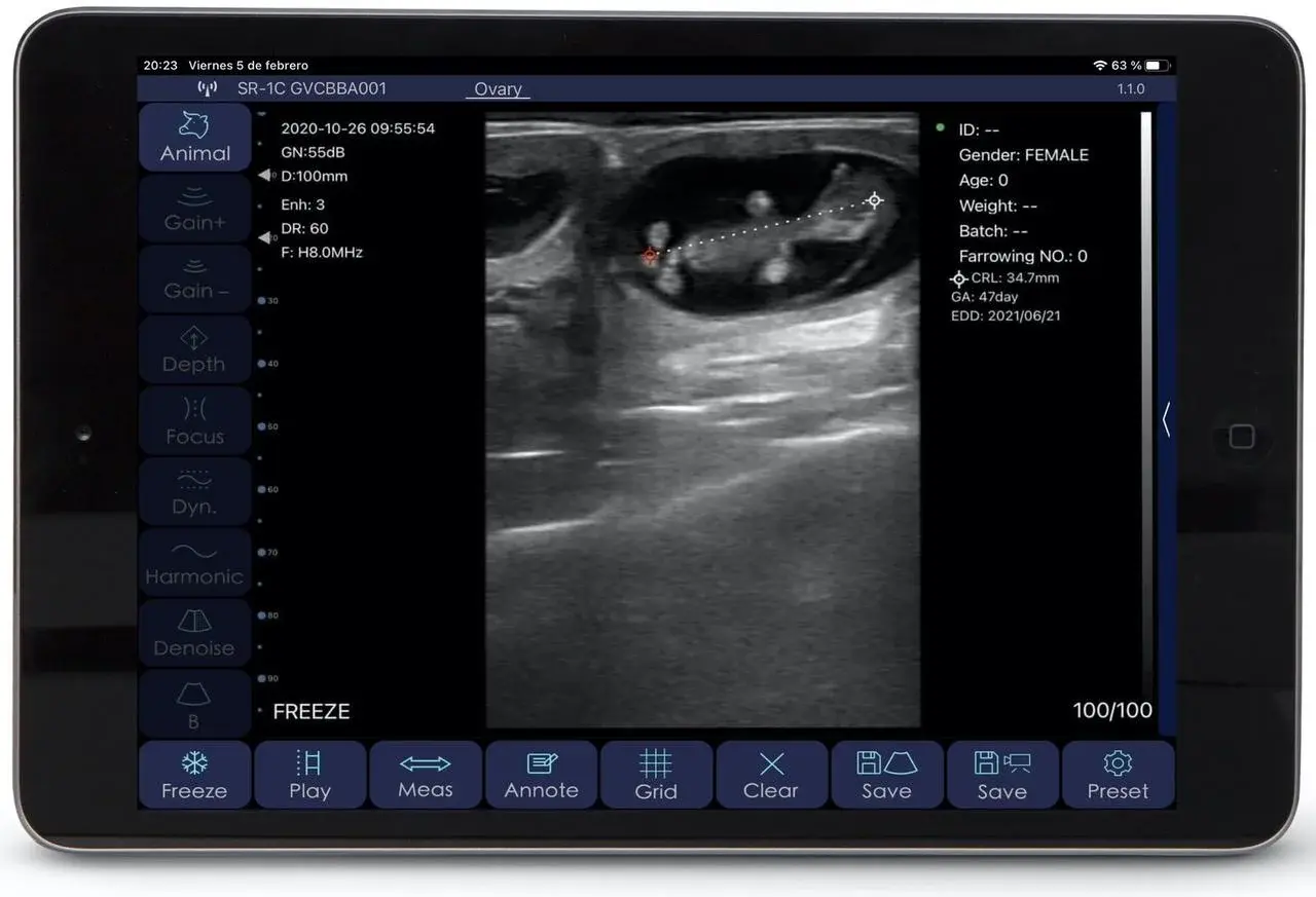 УЗИ сканер VetScan GO с линейным ректальным датчиком