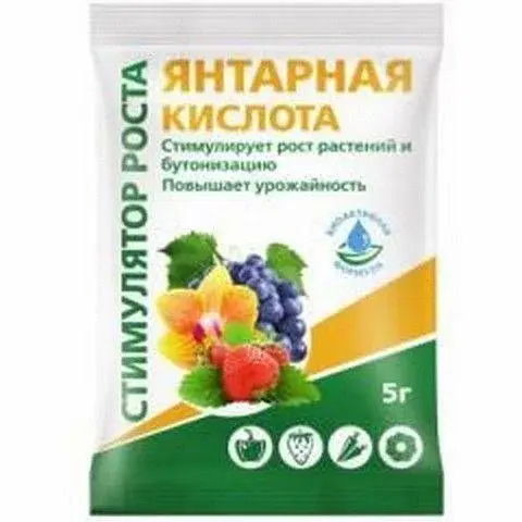 Янтарная кислота 4 гр
