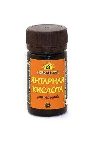 Янтарная кислота 50 гр Биоабсолют