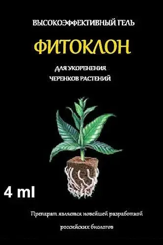 Фитоклон гель 4 мл Биоабсолют