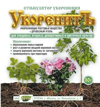 Укоренитъ 10 гр