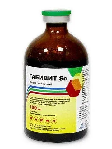 Габивит-SE 100 мл