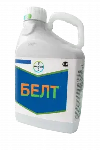 Белт