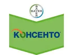 Консенто