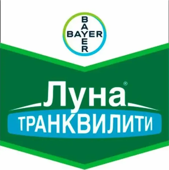 Луна Транквилити