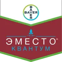 Эместо Квантум
