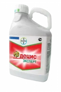 Децис Эксперт