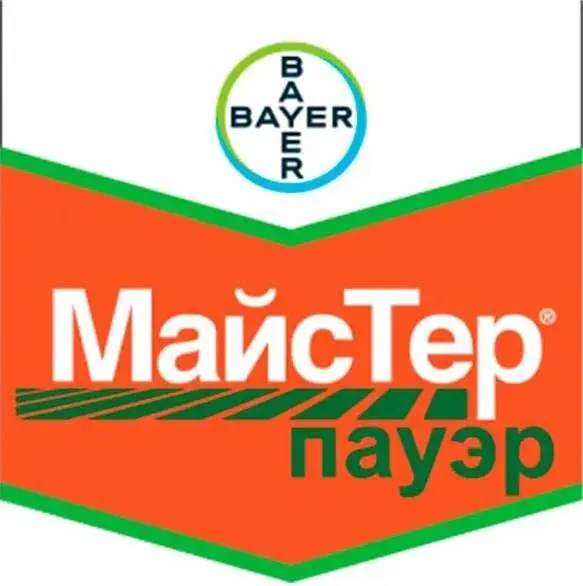 Универсальный послевсходовый гербицид Майстер Пауэр для кукурузы