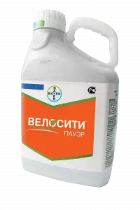Велосити Пауэр