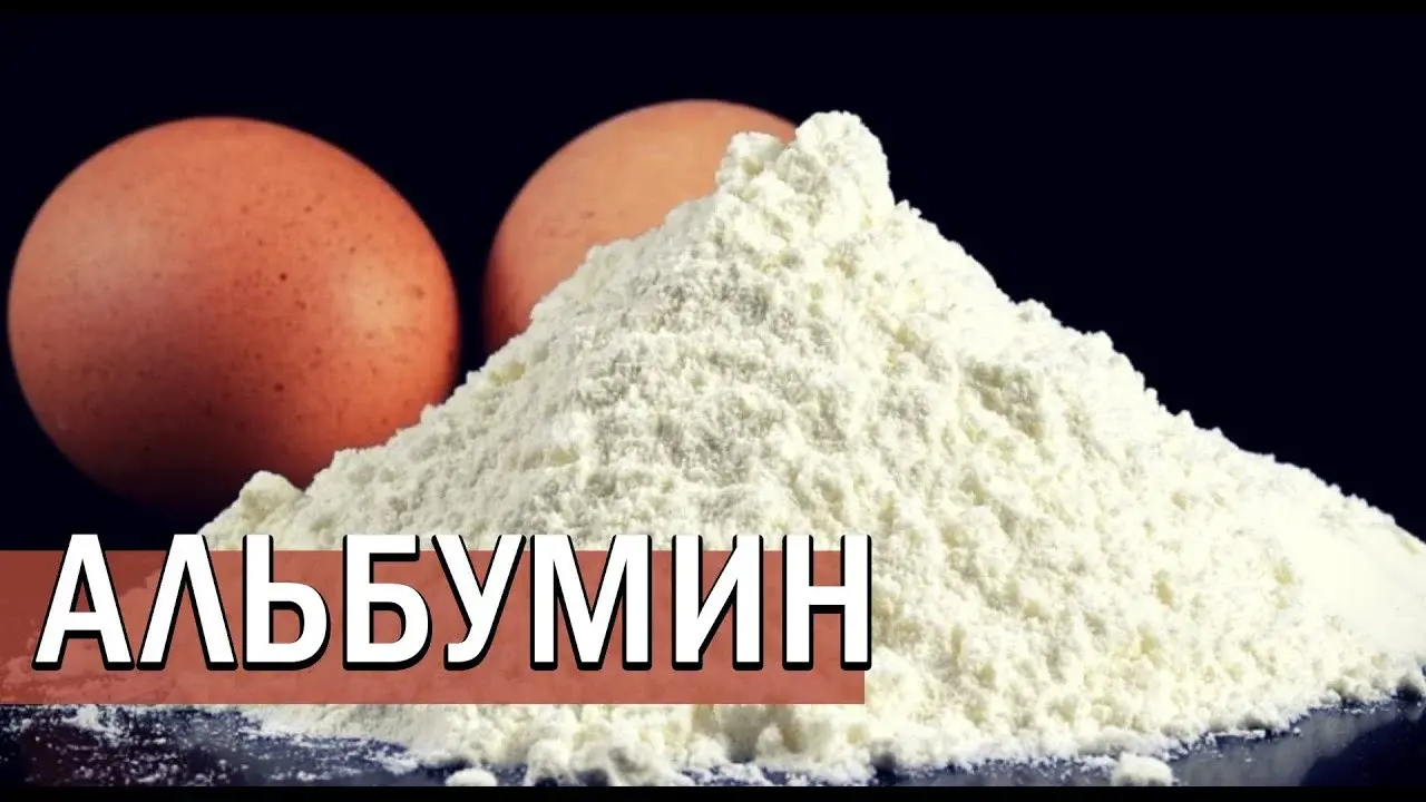 АЛЬБУМИН - сухой яичный белок