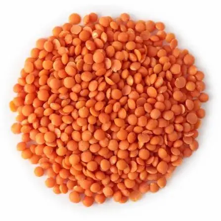 Чечевица (Lentils)