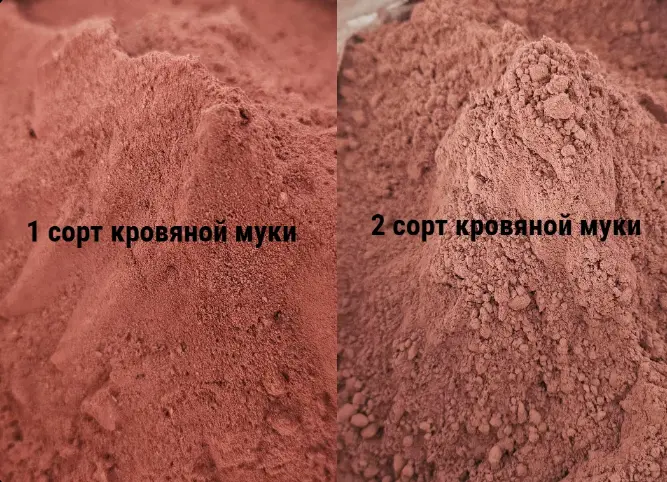 Кровяная мука(порошок)