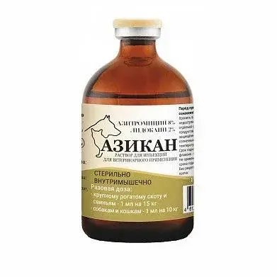 Азикан 100 мл