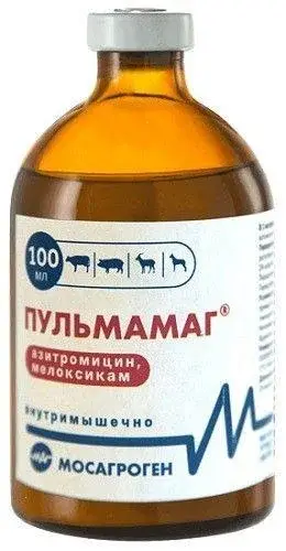 Пульмамаг 100 мл